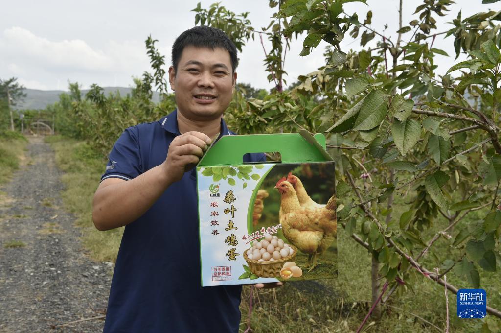 线上永利官网